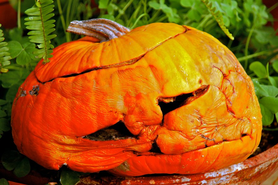 Image result for sad halloween